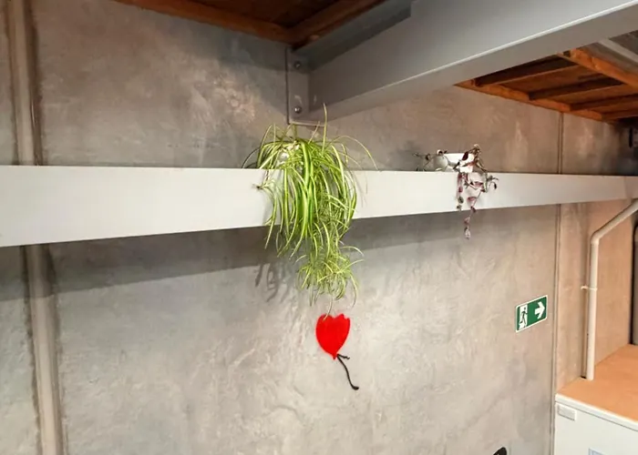 Stylish Industrial Loft Near The Airport 公寓 罗托鲁阿